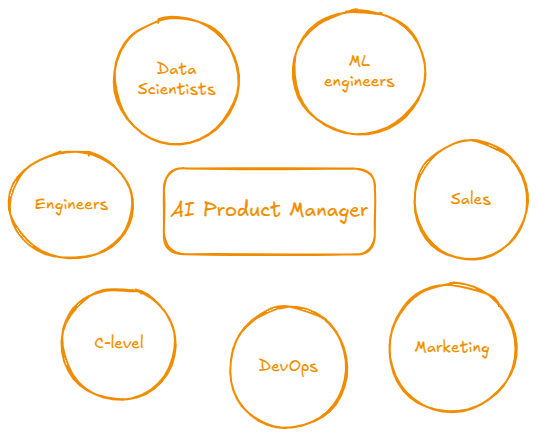 AI product manager and stakeholders